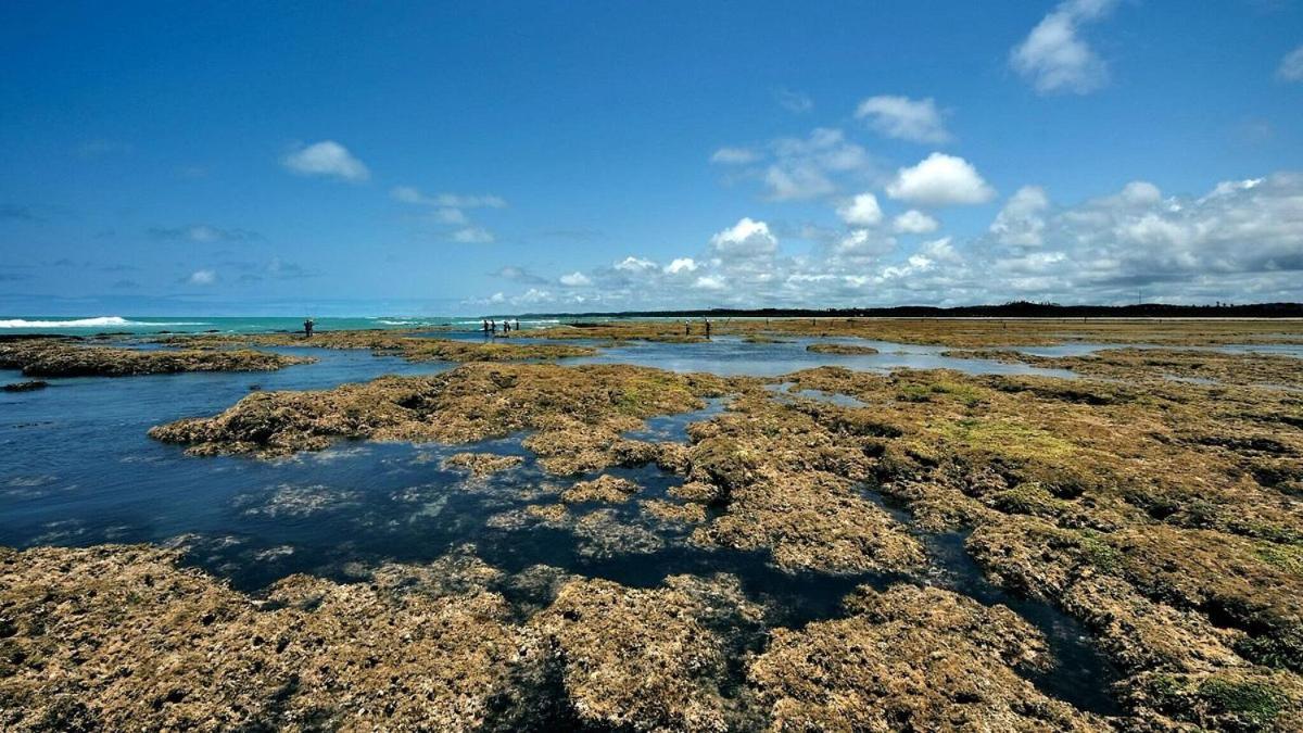Abaetetuba Pousada Sao Miguel dos Milagres Exterior photo